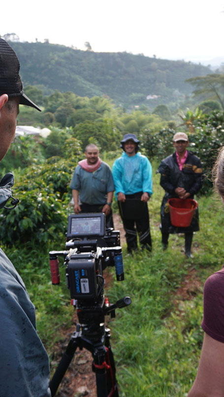 Reportage au milieu de la plantation de café